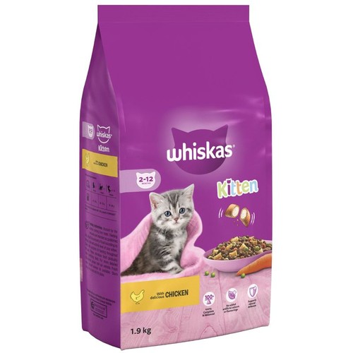 9kg kitten with - 1.9kg,